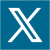 X Twitter